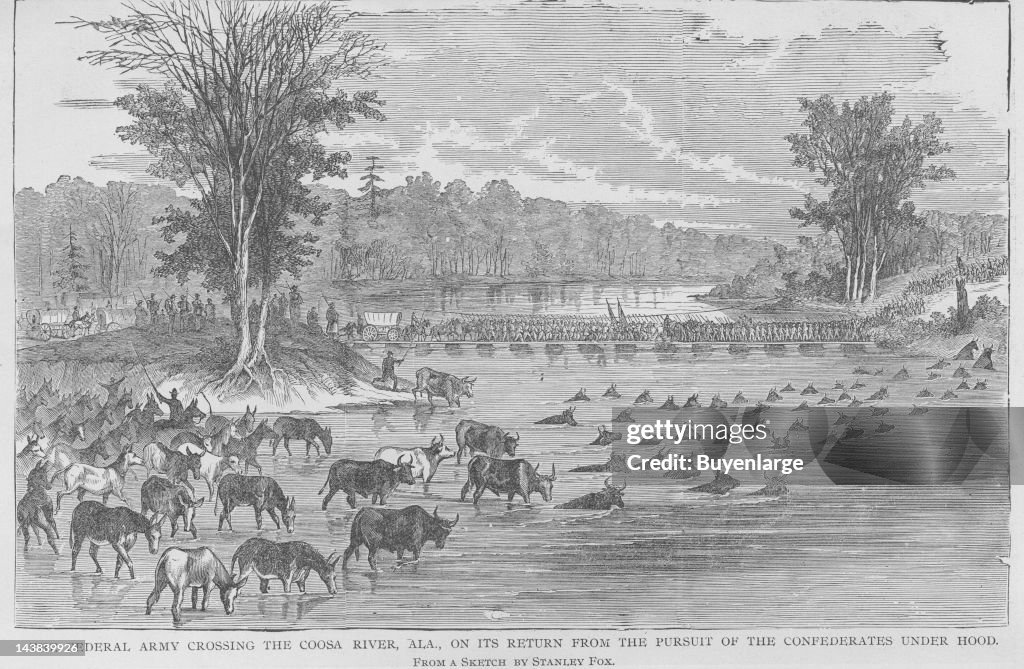 Animals Ford Coosa River