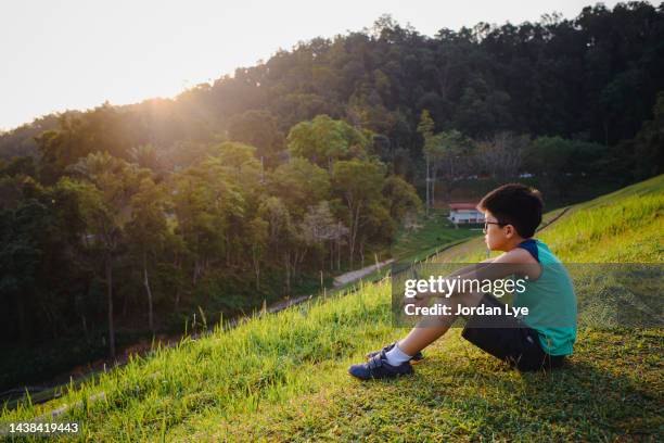 a boy sitting on the slope with tropical rain forest as background - climate grief stock pictures, royalty-free photos & images