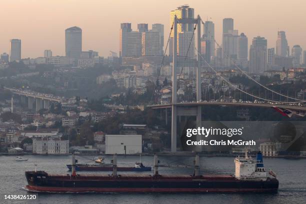 The Liberia flagged bulk carrier Asl Tia en-route to China transits the Bosphorus carrying 39,000 metric tons of sunflower meal from Ukraine after...