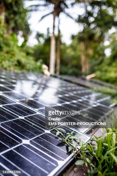 close up of solar system panels standing in beautiful nature - jungle - autarkie stockfoto's en -beelden