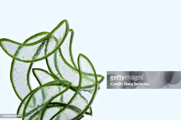 aloe vera slice on light blue background. medicinal plant macro. - aloe slices stock pictures, royalty-free photos & images