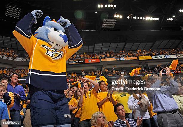 Preds Maskcot Mascot Gnash Photos and Premium High Res Pictures - Getty Images