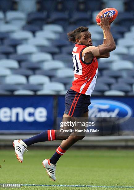 VFL Rd 7 - Geelong v Casey, Nachrichtenfoto
