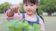 preview clip thumb