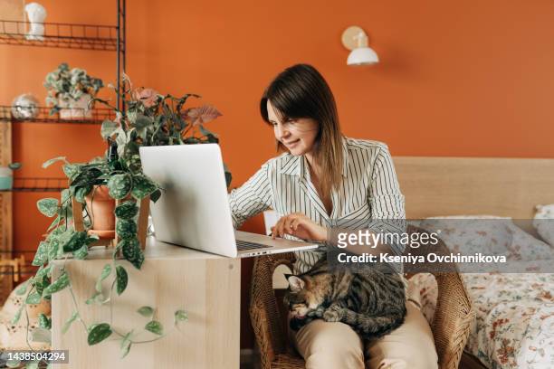 casual woman in yellow shirt working on laptop with her cat on sofa, sitting together in room with window ang green plant - wohngebäude innenansicht stock-fotos und bilder