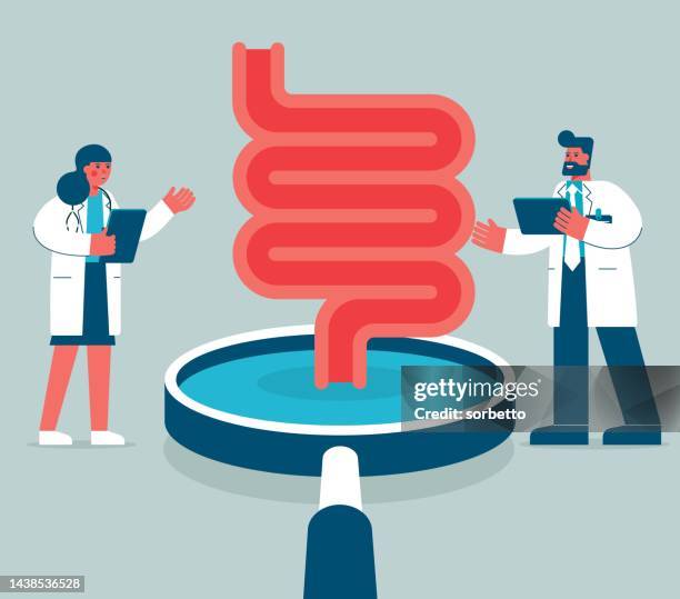 magnifying glass - digestive system - human digestive system illustration stock illustrations