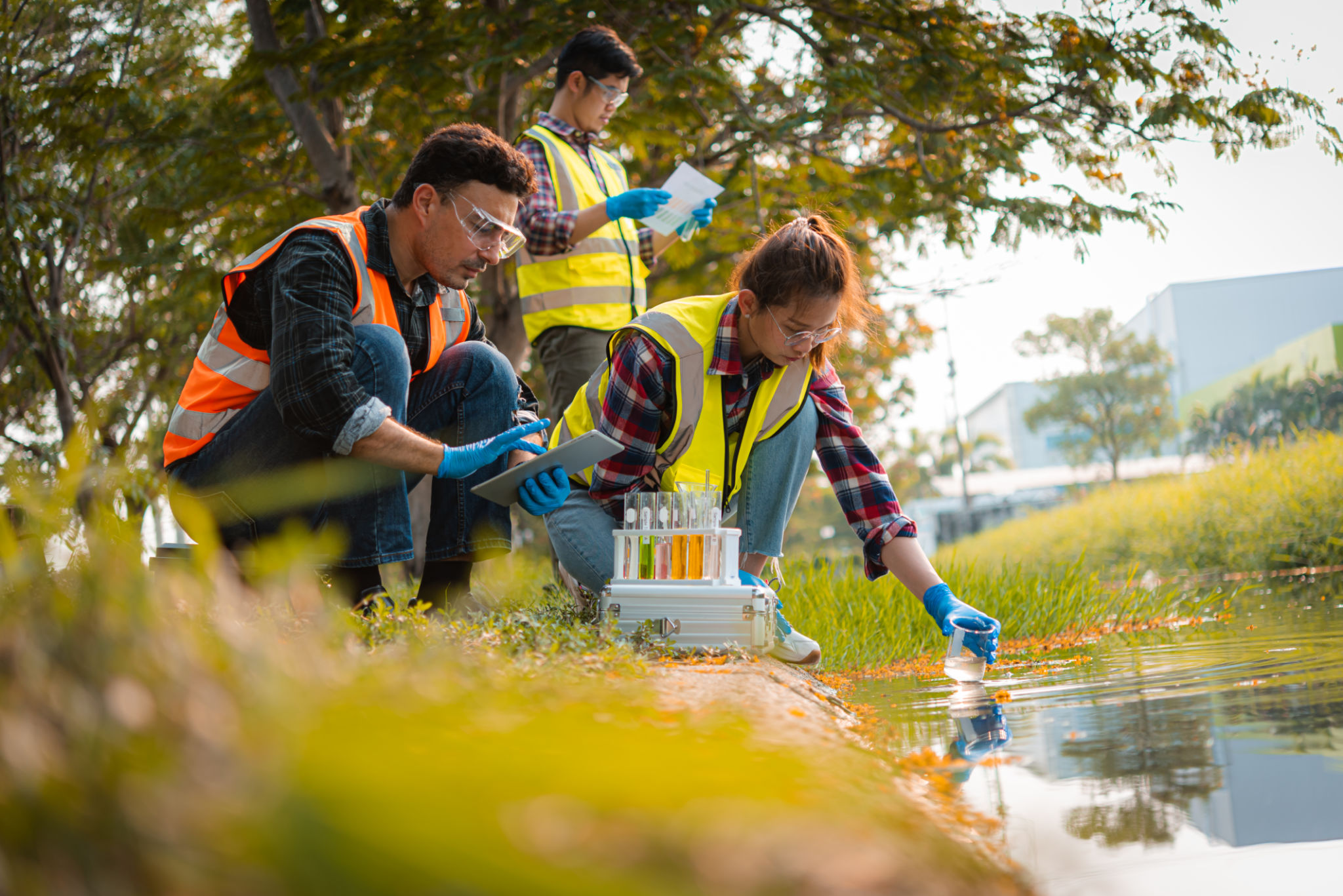 environmental assessment