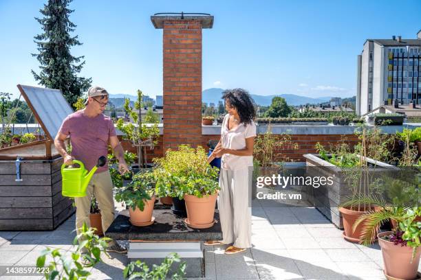 urban gardening together on a rooftop - the roof gardens stock pictures, royalty-free photos & images