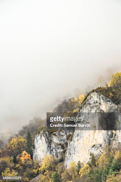 view of a mountain forest in autumn colours at the foot of a cliff. - vercors photos et images de collection