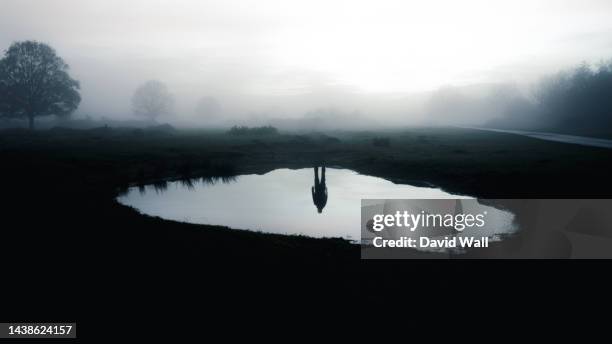 a haunted concept of the reflection of a man who isn't there. standing by a pond. on a spooky mist evening in the countryside - reflection pool imagens e fotografias de stock