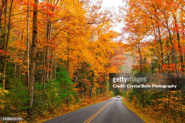 driving down an open country road surrounded by colorful autumn trees & mountain views in tennessee during the fall of 2022 - gatlinburg stock pictures, royalty-free photos & images
