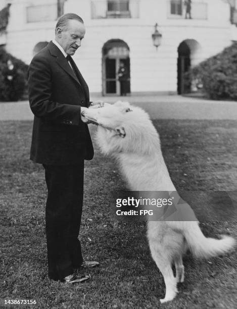 American politician Calvin Coolidge , President of the United States, with his dog, a white collie called Rob Roy in the grounds of the White House...
