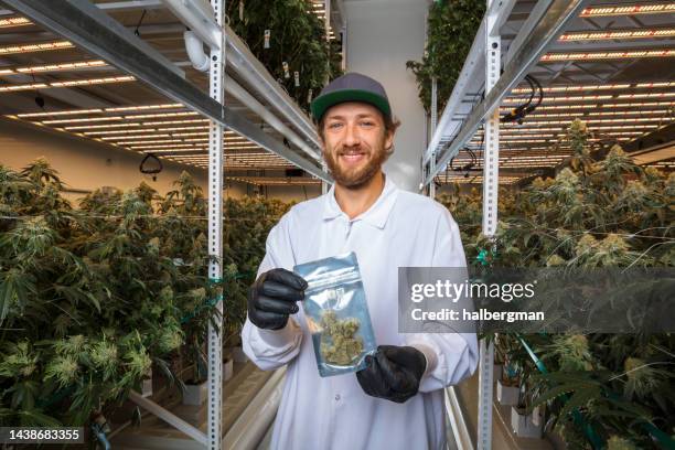 smiling man in industrial cannabis growing room holding bag of packaged product ready for sale - hydroponic stock pictures, royalty-free photos & images