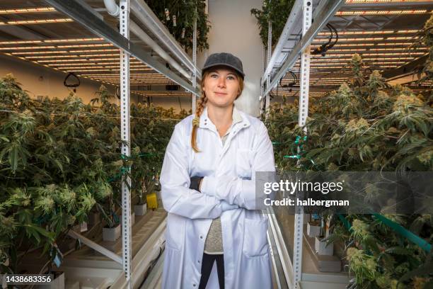 woman working at cannabis grow standing in grow room with arms crossed - cannabis business stock pictures, royalty-free photos & images