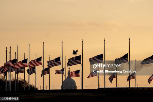 a bird flies past american flags flying at half staff - half mast stock pictures, royalty-free photos & images