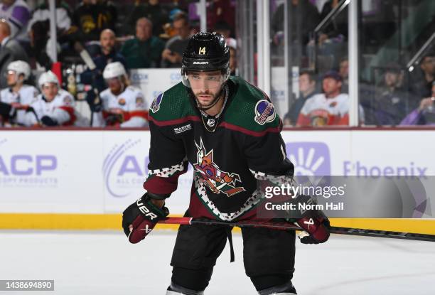 Shayne Gostisbehere of the Arizona Coyotes gets ready during a face off against the Florida Panthers at Mullett Arena on November 01, 2022 in Tempe,...