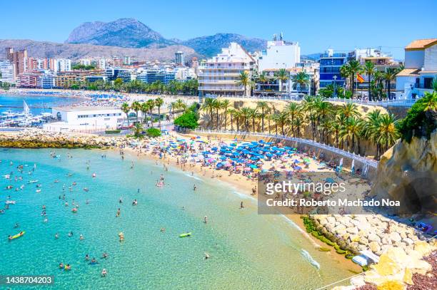 people swimming beach - benidorm stock pictures, royalty-free photos & images