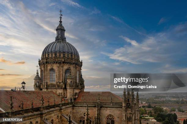 new cathedral, salamanca,  castile and leon, spain - school facade stock pictures, royalty-free photos & images