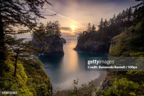 scenic view of river amidst trees against sky during sunset - pacific northwest stockfoto's en -beelden