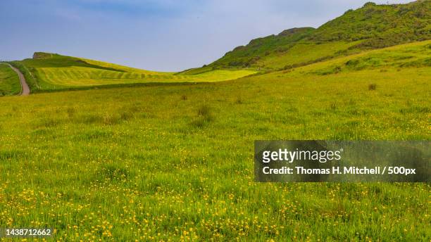 scenic view of field against sky,ballycastle,northern ireland,united kingdom,uk - ulster photos et images de collection