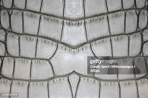 full frame shot of cracked footpath - crocodile texture stock pictures, royalty-free photos & images