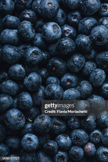 blueberries close-up - blueberry stockfoto's en -beelden