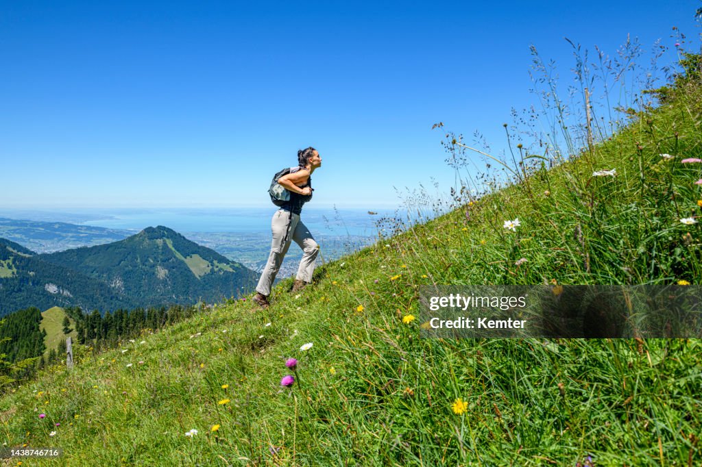 Young woman hiking in the mountains
