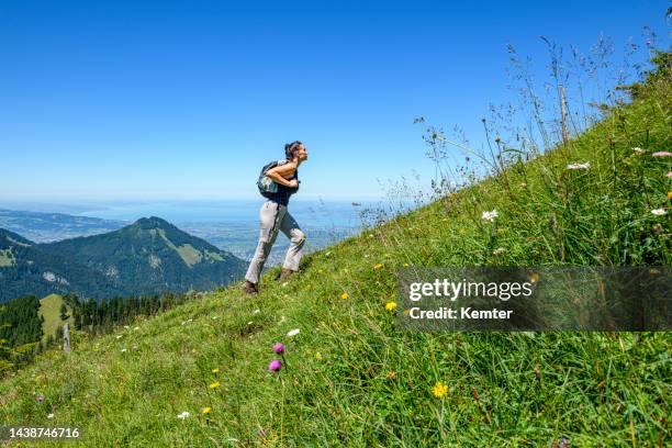 young woman hiking in the mountains - sheer bildbanksfoton och bilder