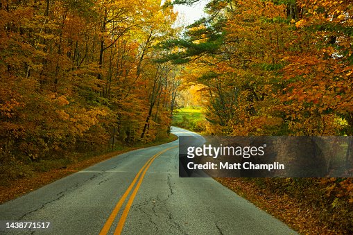 Winding Road in Autumn