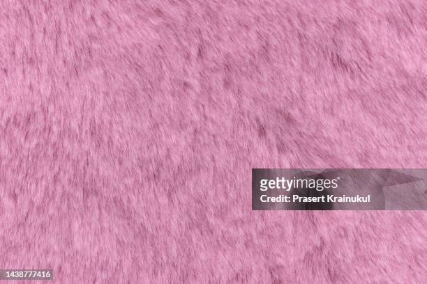 pink wool top view texture background - pele de animal pele - fotografias e filmes do acervo