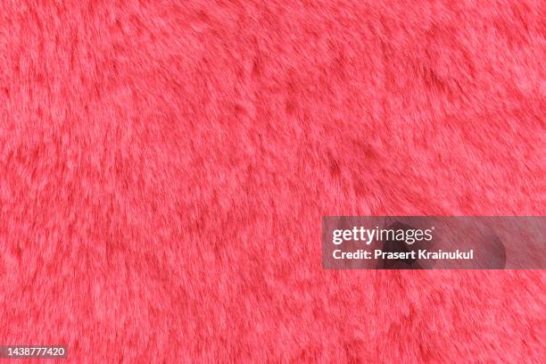 red wool top view texture background - fur stock pictures, royalty-free photos & images