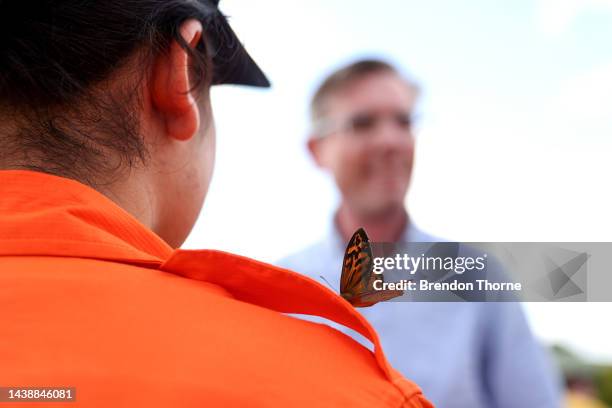 Butterfly sits on the shoulder of a SES volunteer during a chat with NSW Premier Dominic Perrottet on November 04, 2022 in Wagga Wagga, Australia....