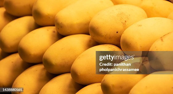 Big yellow mango stack row. Big yellow mango stack row.