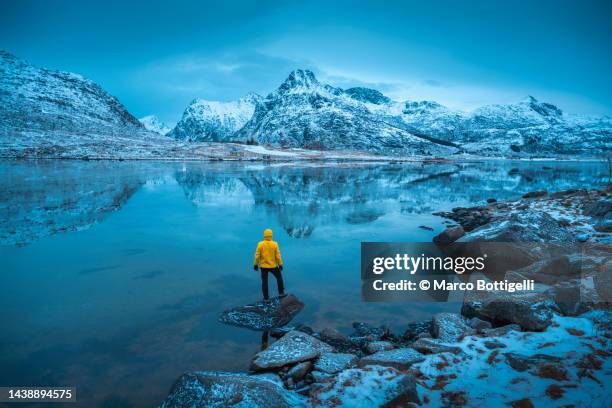 person admiring the winter landscape in lofoten islands, norway - 空気感 ストックフォトと画像