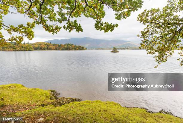 otterbield bay, derwent water - bay of water fotografías e imágenes de stock