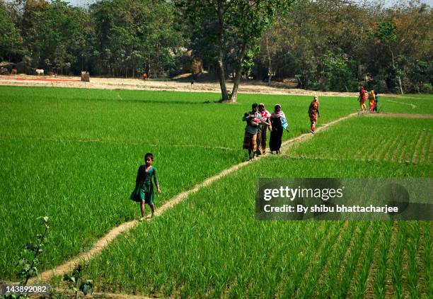 there is no way they - bangladesh village photos et images de collection