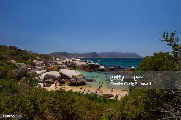 boulders beach - false bay stock pictures, royalty-free photos & images