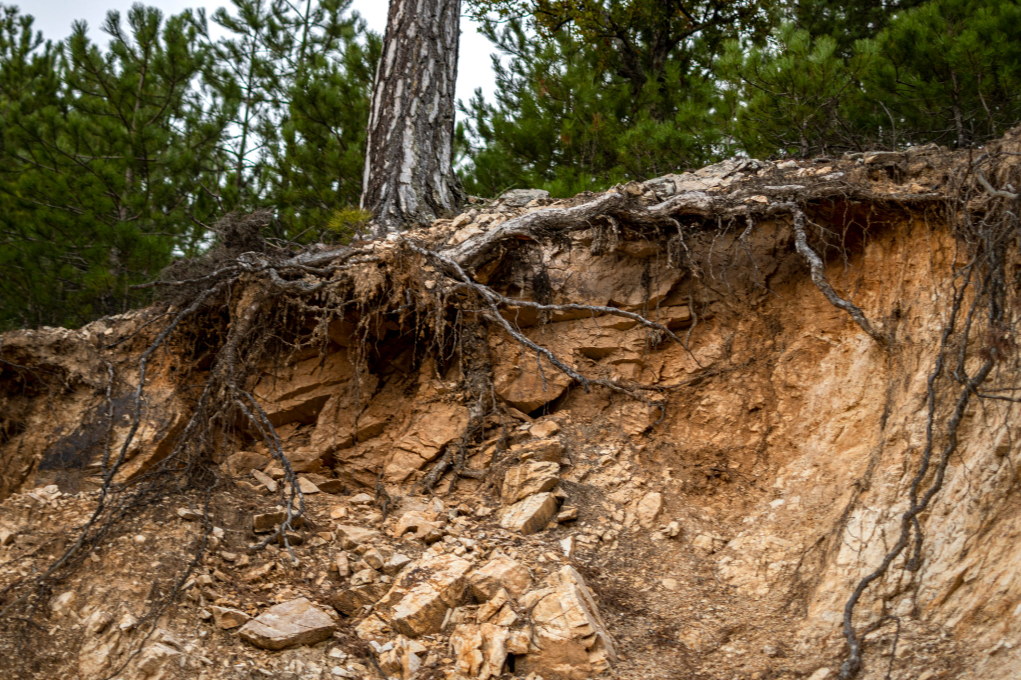 soil erosion prevention