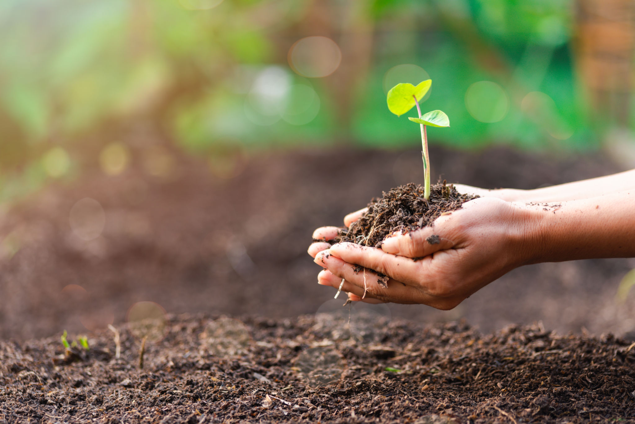 earth healing