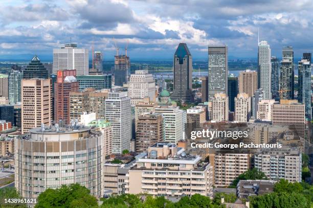 skyline of montreal, canada in the summer - montreal bildbanksfoton och bilder