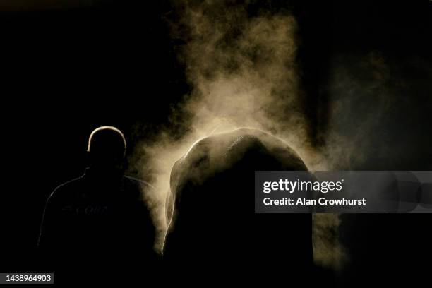 Steam rises from a runner as it makes its return to the stables at Exeter Racecourse on November 04, 2022 in Exeter, England.