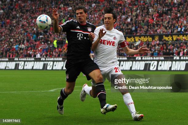 Pedro Geromel of Koeln and Mario Gomez of Bayern Muenchen battle for the ball during the Bundesliga match between 1. FC Koeln and FC Bayern Muenchen...