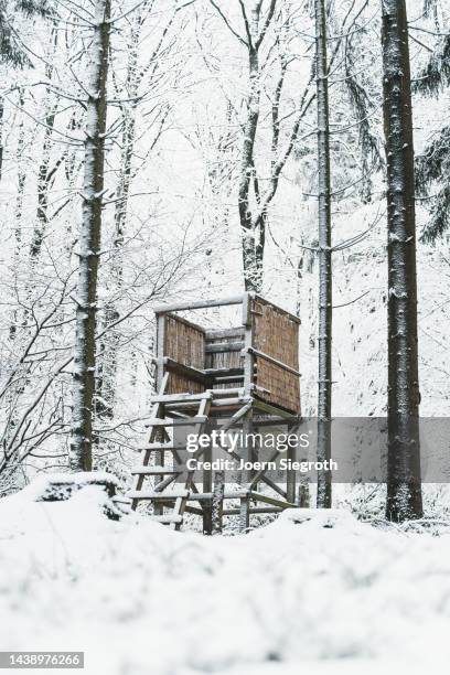 hunter seat in winter - tour de guet photos et images de collection