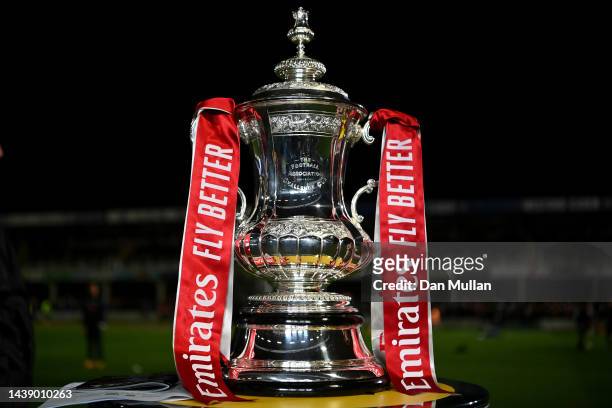 Detailed view of the Trophy prior to the FA Cup First Round match between Hereford FC and Portsmouth FC at Edgar Street Athletic Ground on November...