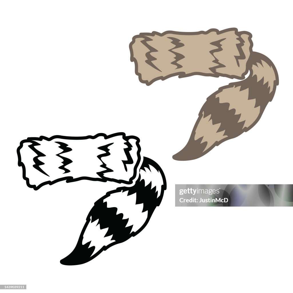 Coonskin cap