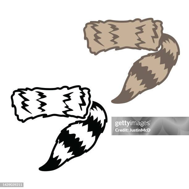 coonskin cap - fur hat stock illustrations