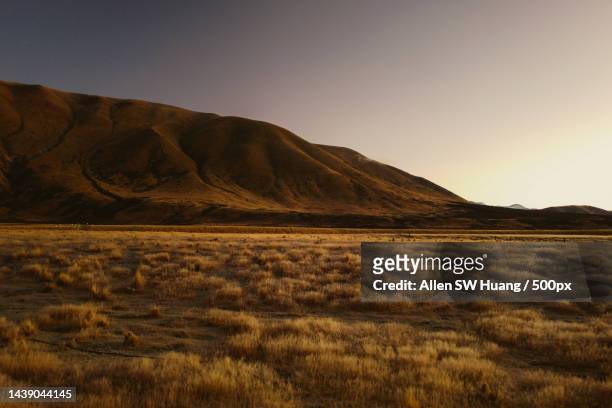 scenic view of field against clear sky,ben ohau,new zealand - allen sw huang stock pictures, royalty-free photos & images