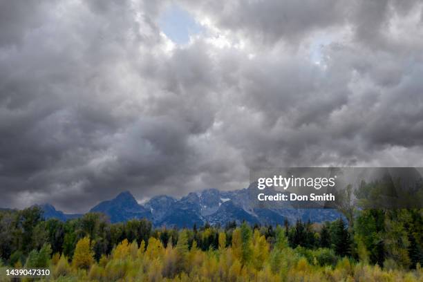 fall foliage at schwabacher landing with grand teton range in background under a stormy sky - jackson wyoming foto e immagini stock