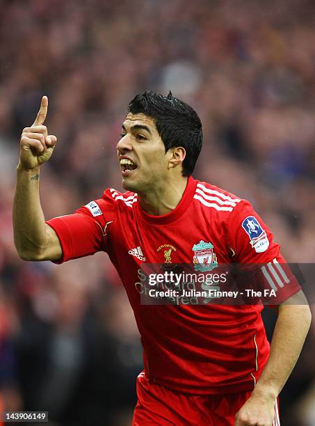Luis Suarez of Liverpool argues with the assistant referee after Andy Carroll's header is ruled not to have crossed the line during the FA Cup Final...