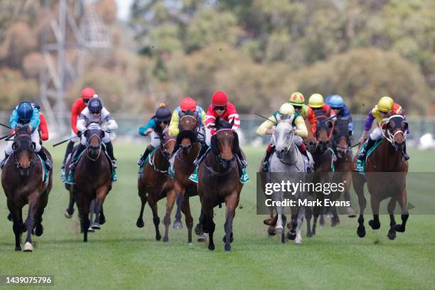 Tab Racing Australia Tab Evans Photos and Premium High Res Pictures - Getty Images